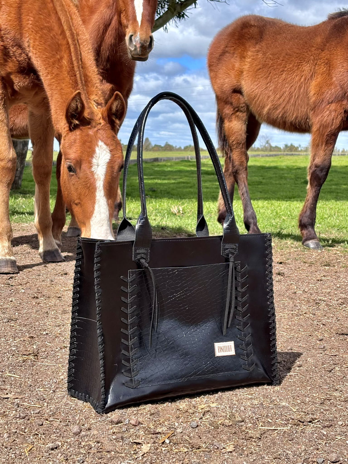 Cartera Arrayán